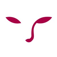 Software Developer Intern